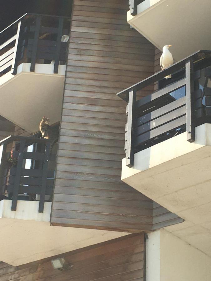 Mon Balcon Face A La Mer - Les Marinas Deauville Luaran gambar